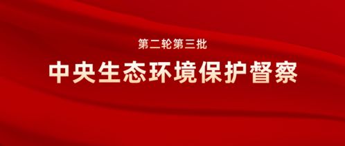 8个中央督察组收到群众举报23311件，强化监督执纪，守护群众利益