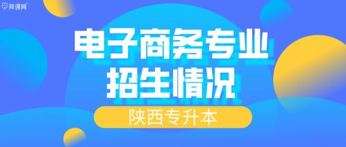 电子商务专业升本有用吗